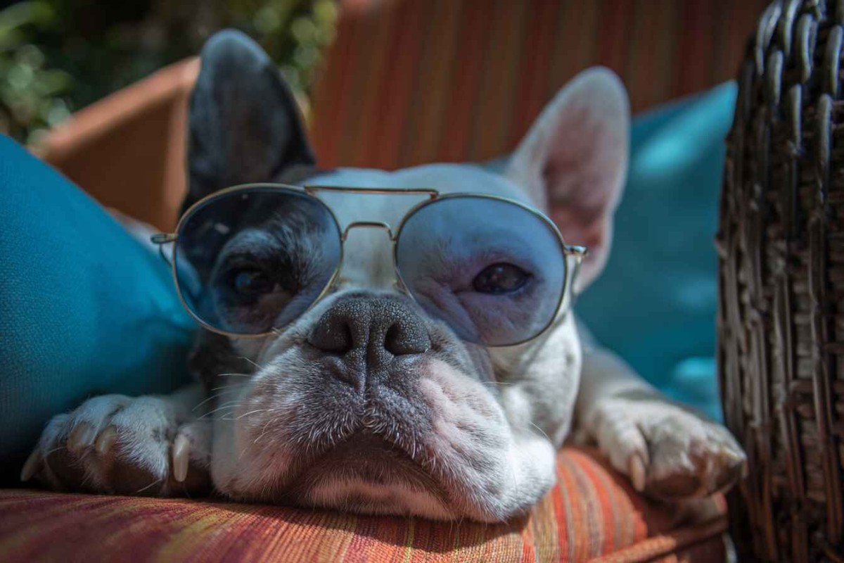 Изображение сгенерировано при помощи нейросети Midjourney