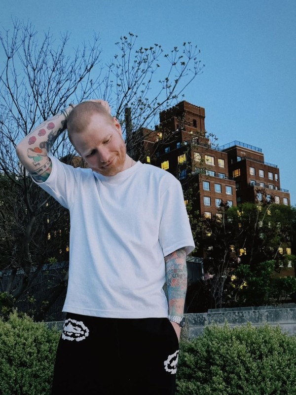 Фото: соцсети/@teddysphotos