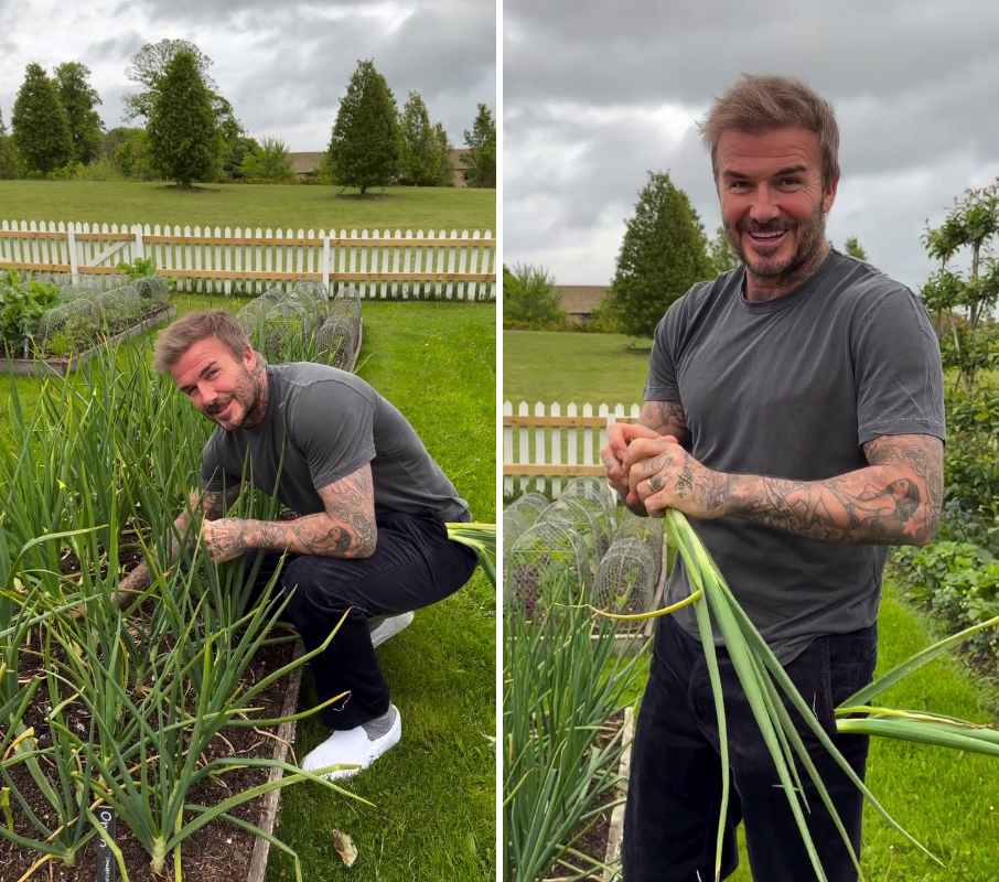 Дэвид Бекхэм. Фото: соцсети / @davidbeckham