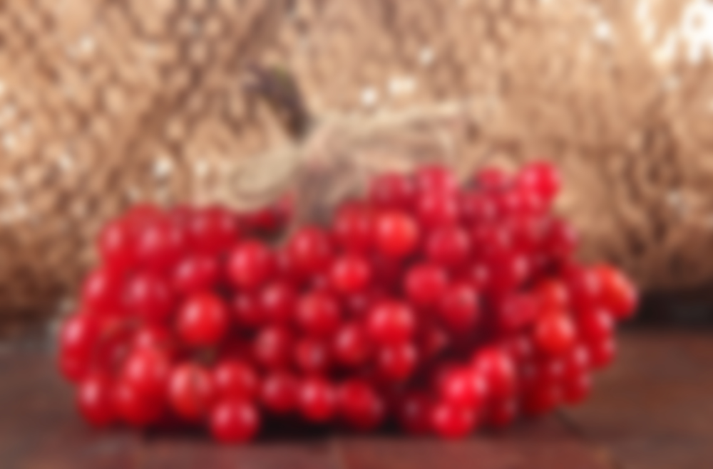 Полезные свойства ягод калины для организма