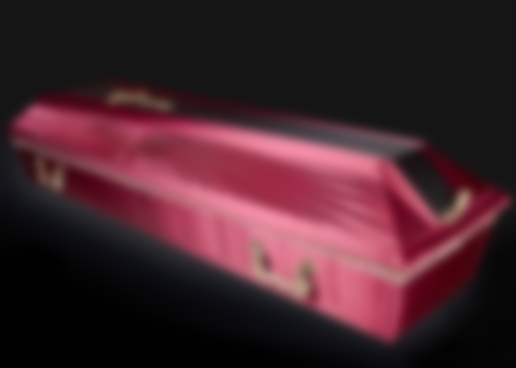 Во сне приснился гроб. Гроб розовый с Эдисоном. Лодка гроб.
