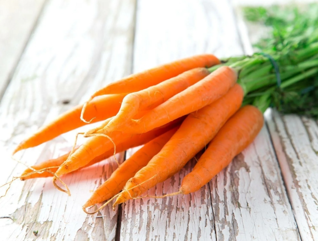К чему снится морковь свежая. Морковь. Морковь Флаккоро. Сорт моркови Флаккоро. Морковь Лисичка.
