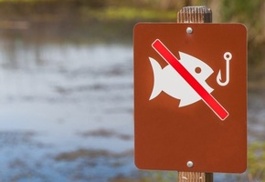 Запреты по ловле рыбы в 2022 году и новые изменения