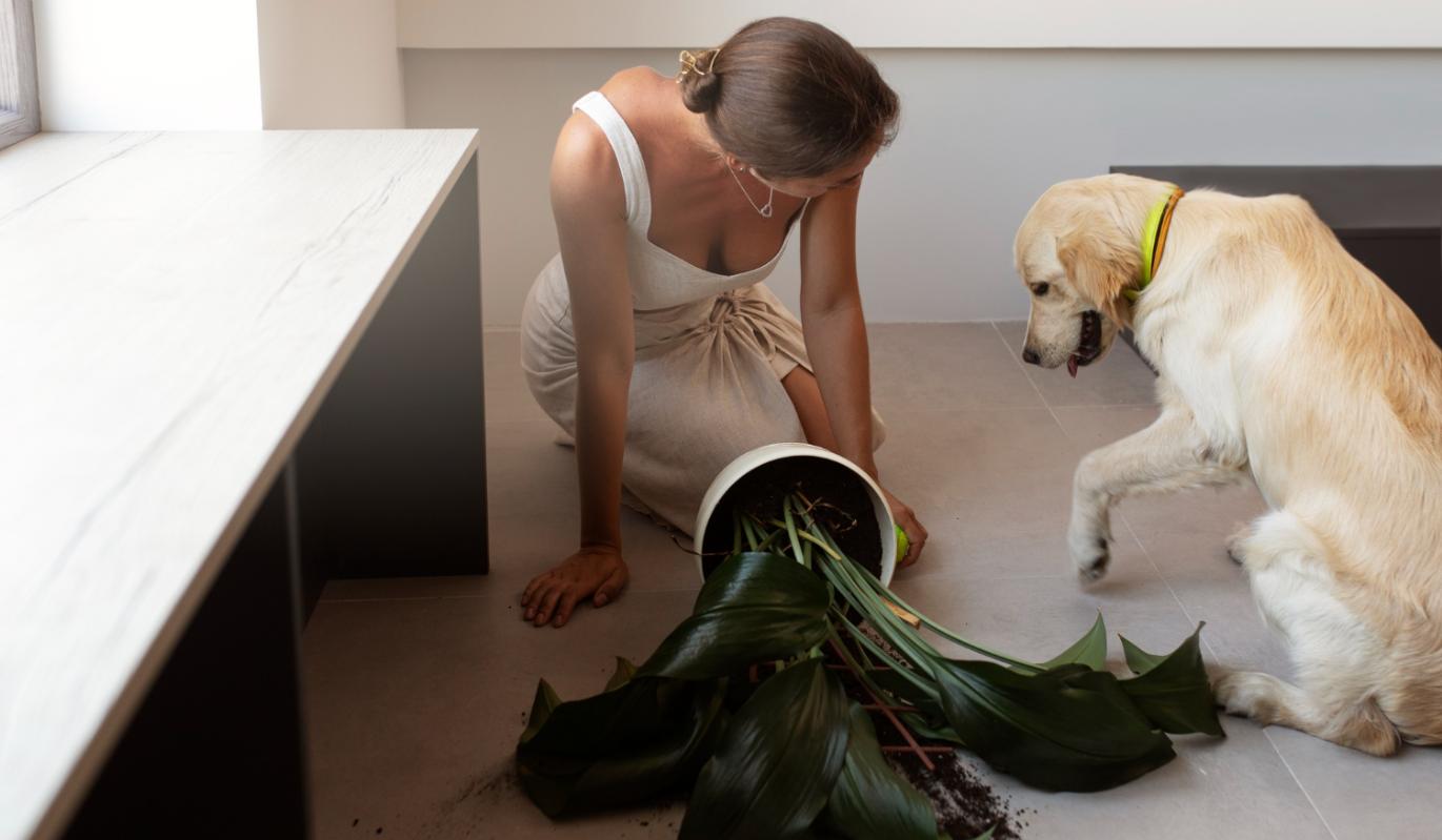 Липкий пол и шерсть повсюду: 6 секретов эффективной уборки в доме с питомцем, о которых вы не знали