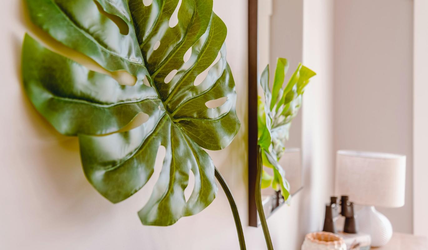 Зелень для спальни: 5 растений, которые улучшат ваш сон