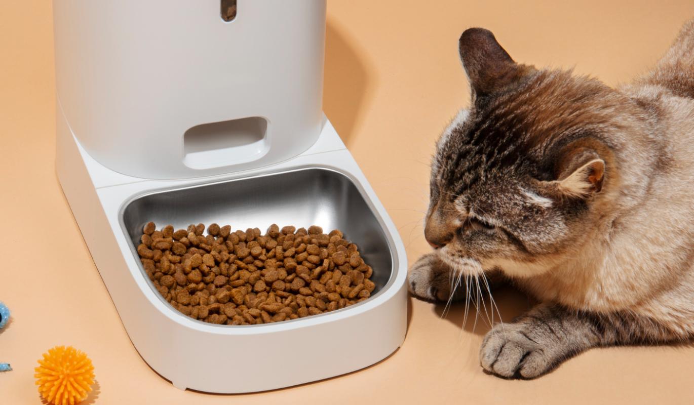 На Клео.ру стартовало голосование за лучший сухой корм для стерилизованных кошек