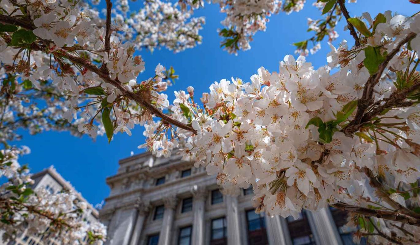 1 мая 2026 Праздник весны и труда