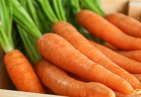 Как хранить морковь на зиму в домашних условиях