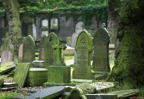 К чему снятся кладбище и могилы для женщины