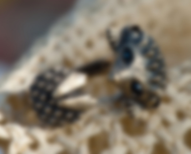 Украшения из серебра и бижутерия из Норвегии