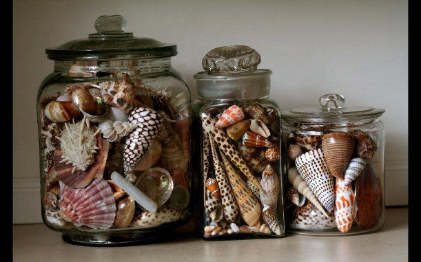 Декоративные банки с ракушками