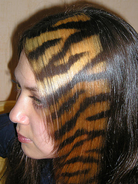 Как покрасить прядь волос в леопард